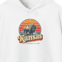Kansas Buffalo On Prairie Hoodie