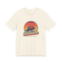 Delaware Ladybug Tee