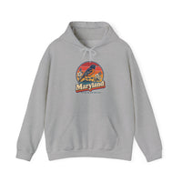 Maryland Baltimore Oriole Hoodie
