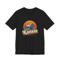 Kansas Buffalo On Prairie Tee