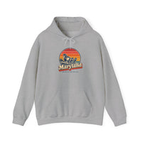 Maryland Assateague Wild Ponies Hoodie