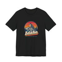 Idaho Peregrine Falcon Tee