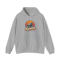 Kansas Buffalo On Prairie Hoodie