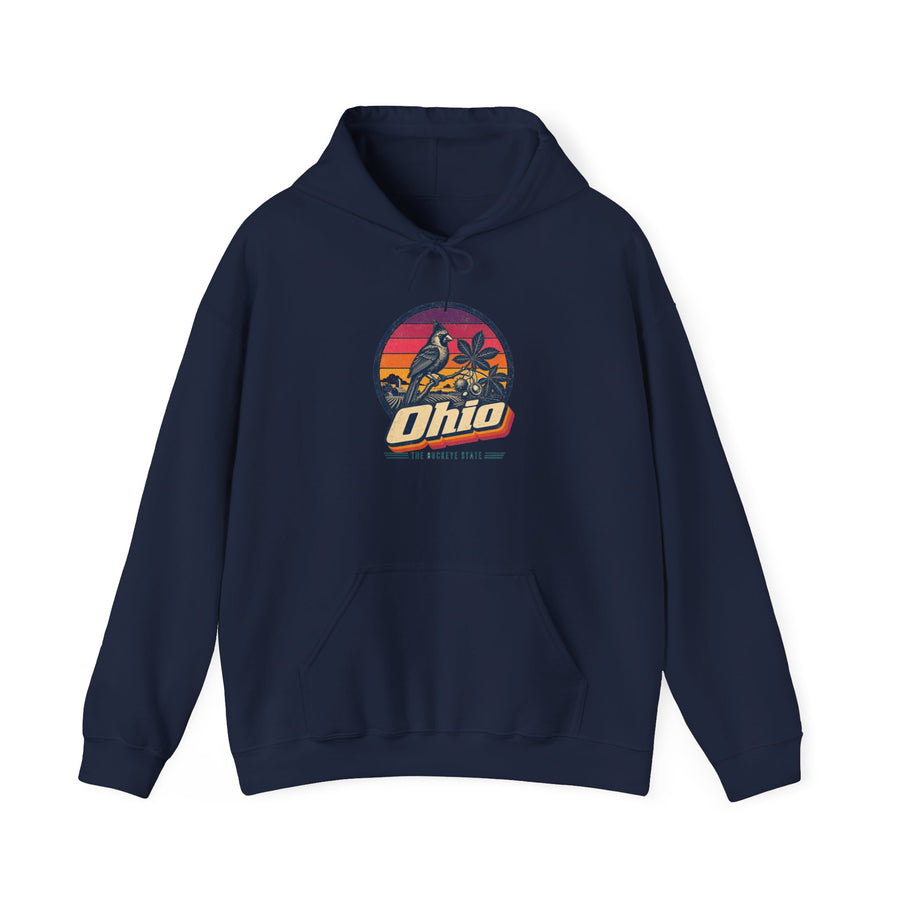 Ohio Retro Sunset Hoodie