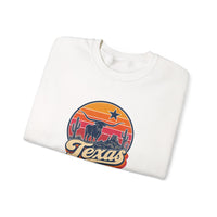 Texas Retro Sunset Sweatshirt