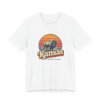 Kansas Buffalo On Prairie Tee