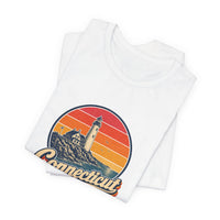 Connecticut Coastal Lighthouse Tee