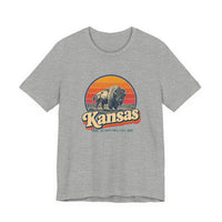 Kansas Buffalo On Prairie Tee