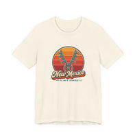 New Mexico Turquoise Jewelry Tee