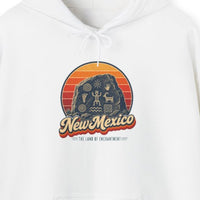 New Mexico Ancient Petroglyphs Hoodie