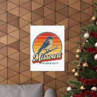 Missouri Eastern Bluebird Poster