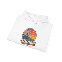 Illinois Navy Pier Ferris Wheel Hoodie