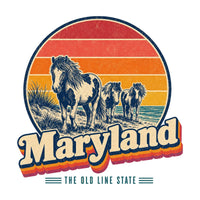 Maryland Assateague Wild Ponies Tee