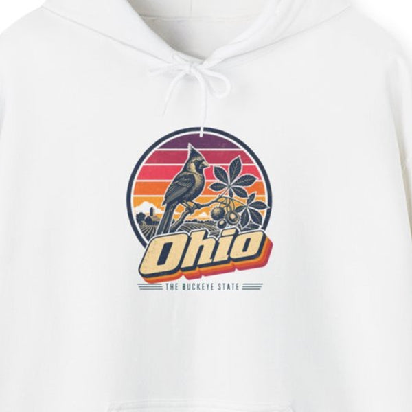 Ohio Retro Sunset Hoodie