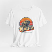 Kansas Buffalo On Prairie Tee