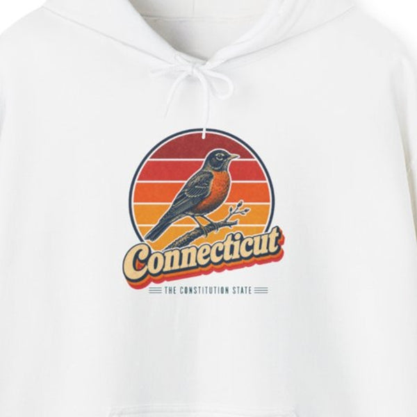 Connecticut American Robin Hoodie