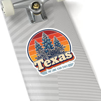 Texas Bluebonnets Sticker
