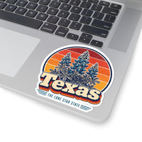Texas Bluebonnets Sticker