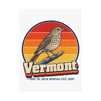 Vermont Hermit Thrush Poster